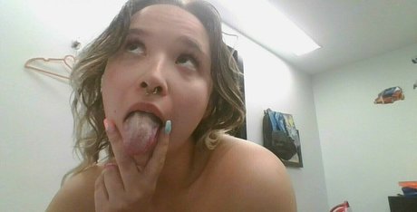 Trippylittlehippi