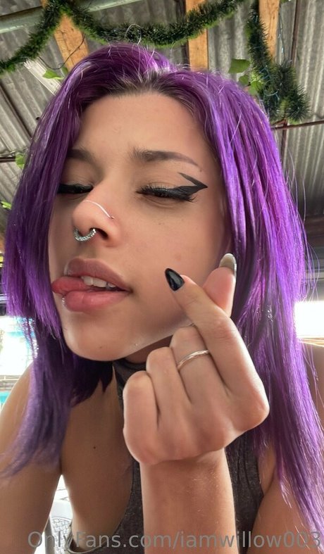 Foto di nudo di fuga di OnlyFans di Iamwillow003