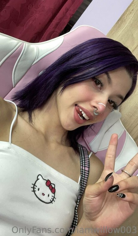 Foto di nudo di fuga di OnlyFans di Iamwillow003