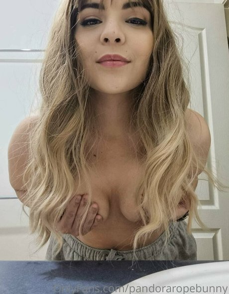 Pandorabunny