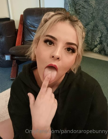 Pandorabunny