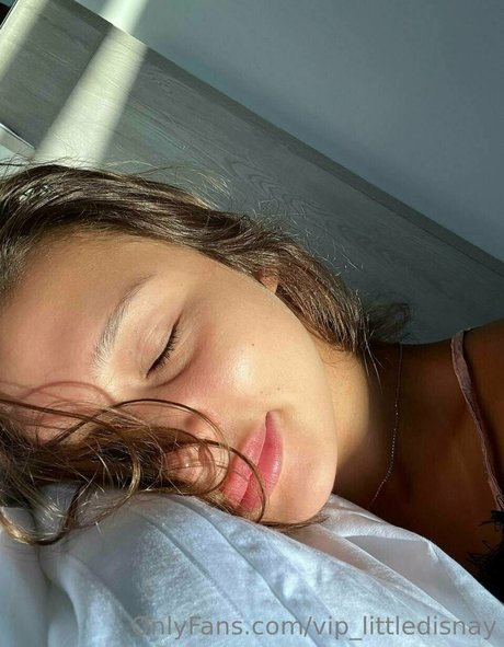 Foto di nudo di fuga di OnlyFans di Viplittledisnay