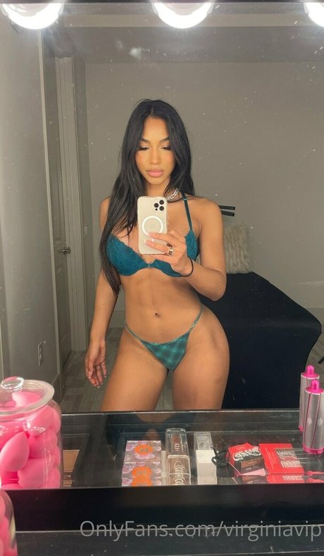 Virginasanhousefree