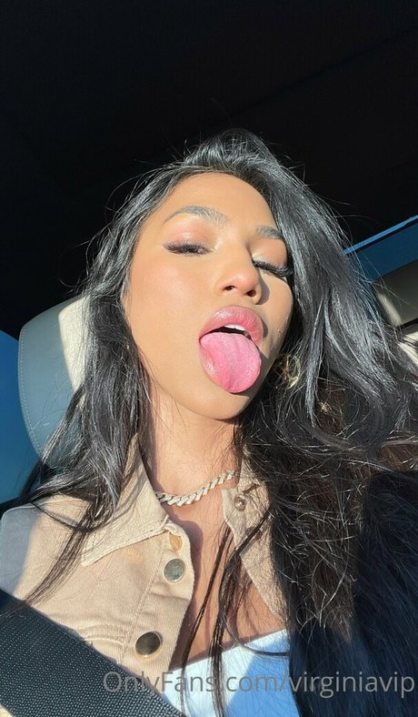 Virginasanhousefree