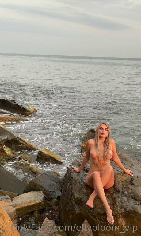 Foto di nudo di fuga di OnlyFans di Ellybloomvip