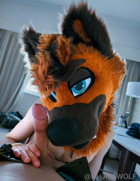 Foto di nudo di fuga di OnlyFans di Palacewolf