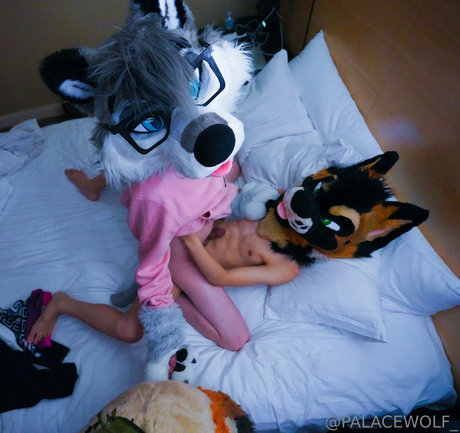 Palacewolf
