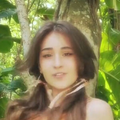 Blossom In The Moonlight