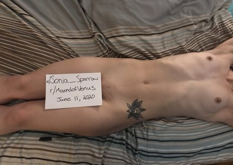 Sonia_Sparrow