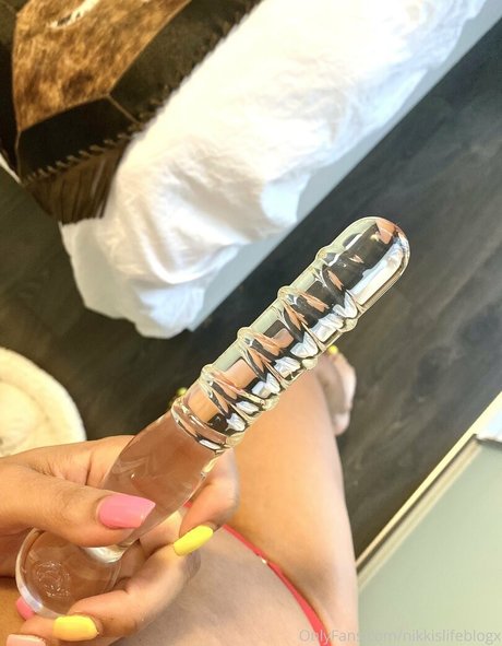 Nikkislifeblogx
