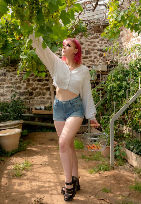 Feyafernfree