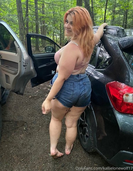 Kallielonewolf17