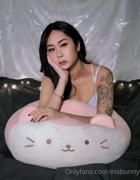 Elabunny