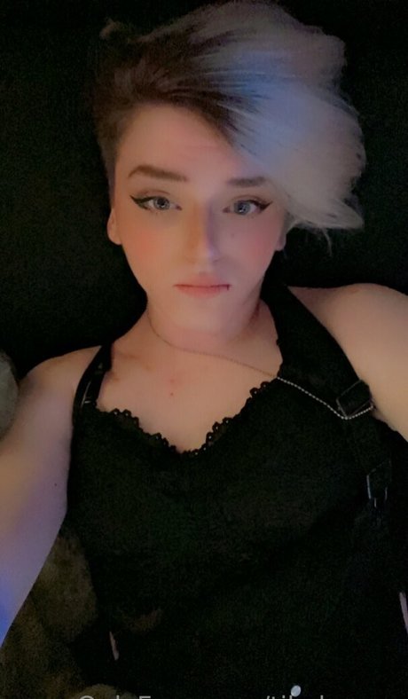 Tikalovexo