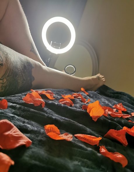 Bbwjeanie