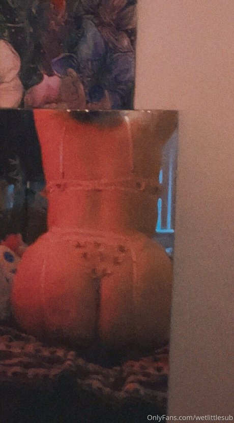 Wetlittlesub