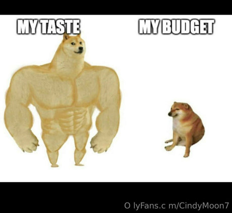 Cindymoon7