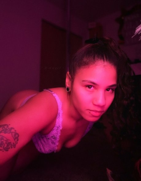 Kangelstardustxo