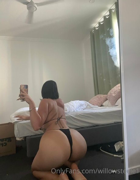 Phoebewillow