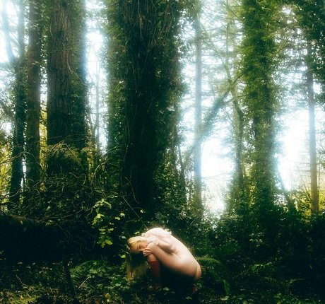 Faerie
