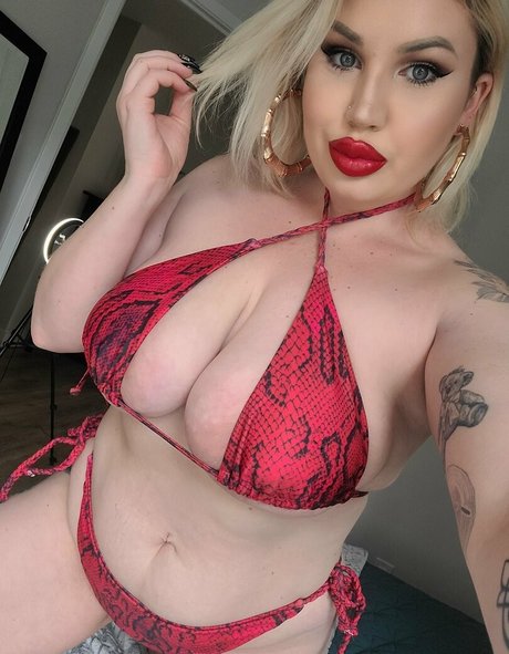 Abbycannons