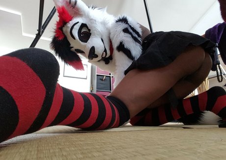 Murrsuit