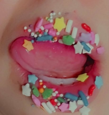 Bunnyvelvettvfree