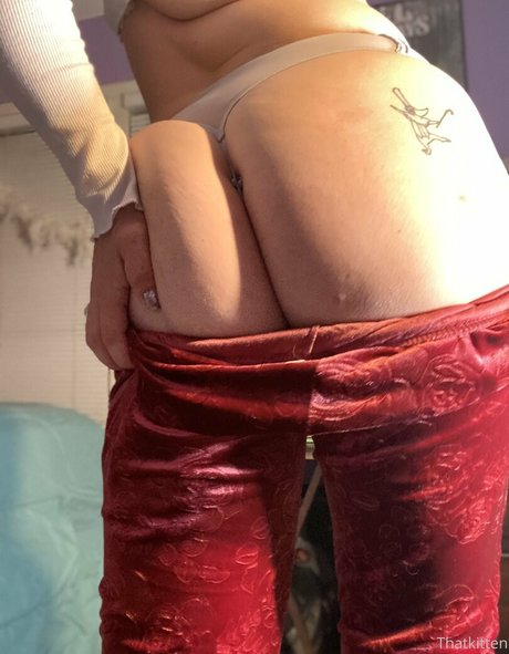 Thatkitten2