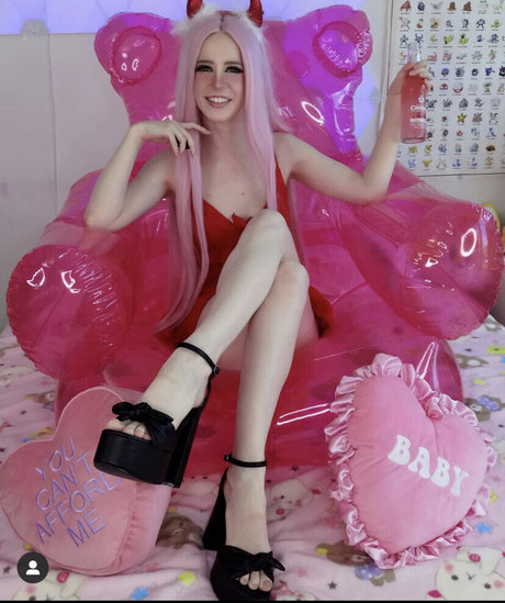 Lilfakegamer