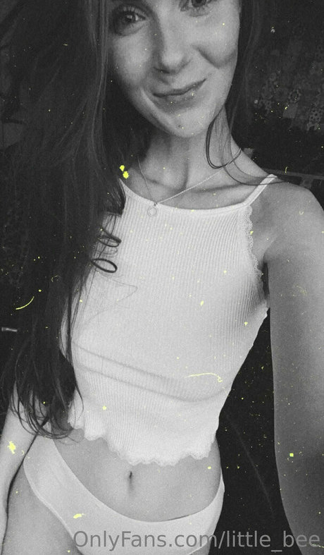 Littlebee
