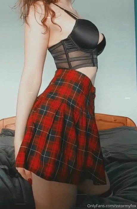 Sstormyfox