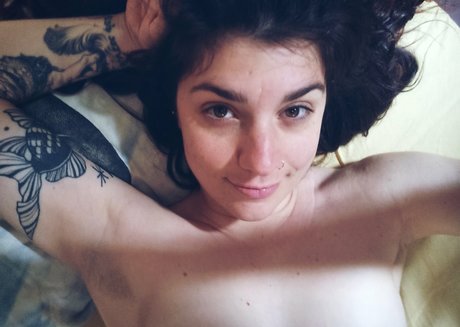 Laurettavixen