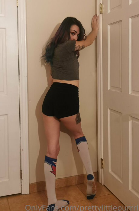 Foto di nudo di fuga di OnlyFans di Prettylittlepurrrl