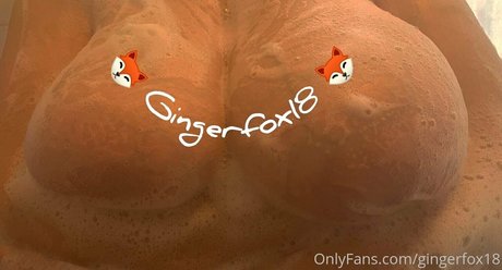 Gingerfox18