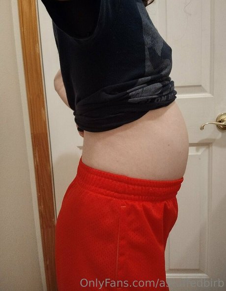Foto di nudo di fuga di OnlyFans di Astuffedbirb