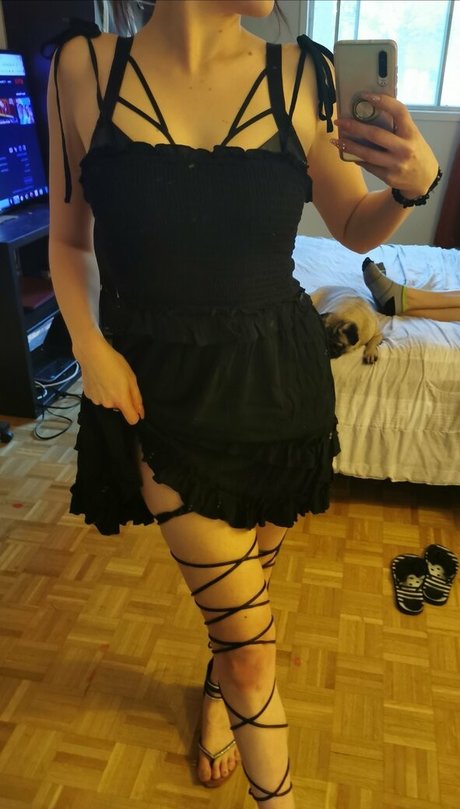 Bellafuryfree