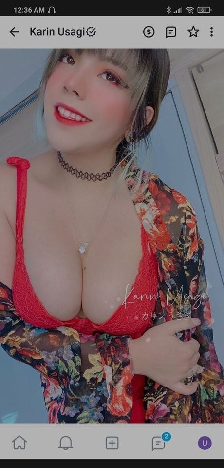 Karin Usagi
