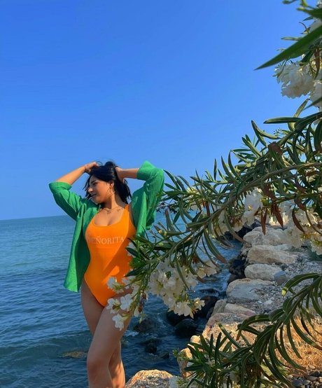 Sareelle