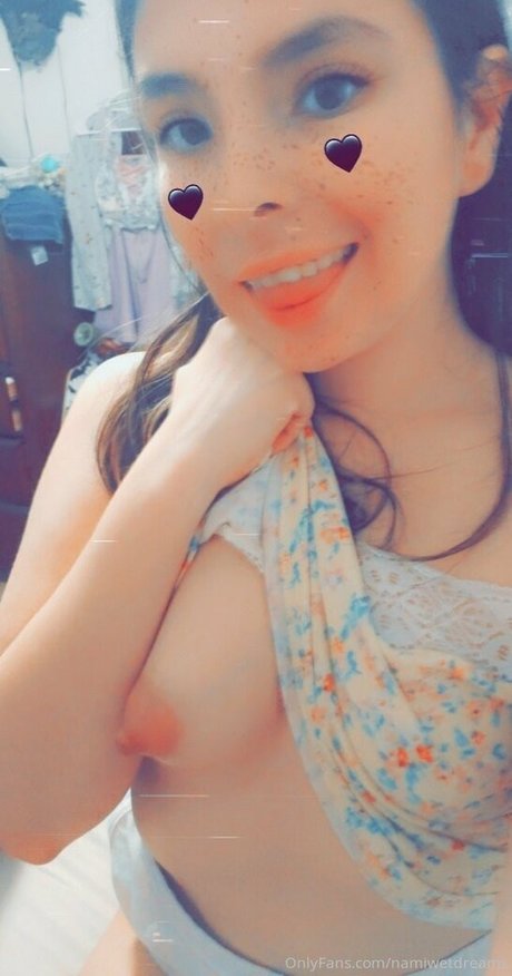 Foto di nudo di fuga di OnlyFans di Namiwetdreams