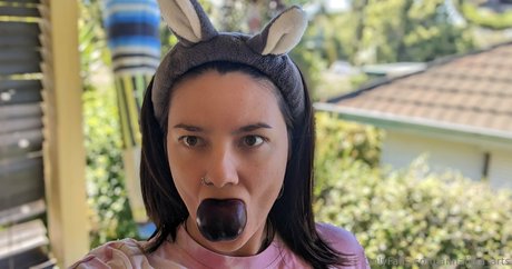 Annaliciaarts