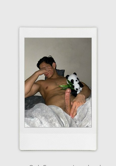 Foto di nudo di fuga di OnlyFans di Pandaslover