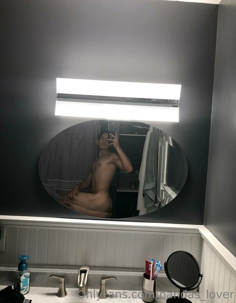 Pandaslover