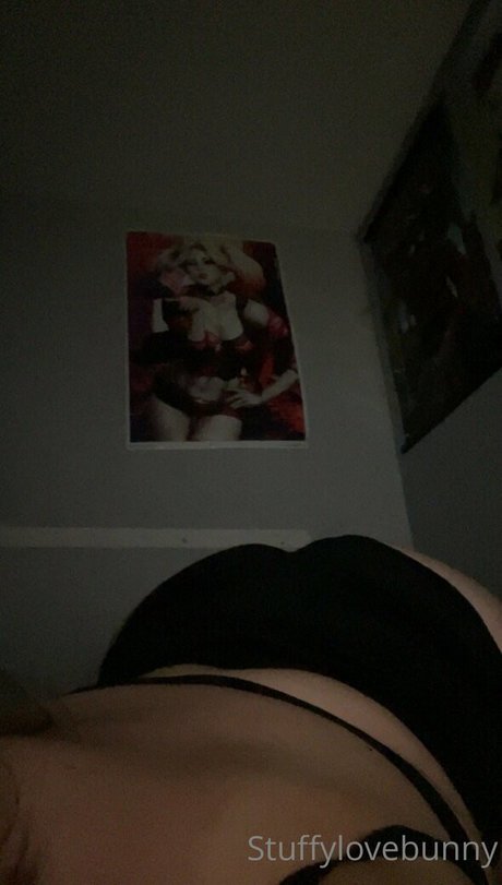 Foto di nudo di fuga di OnlyFans di Stuffylovebunny