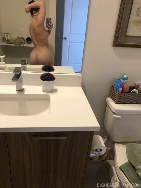 Allisonbangert