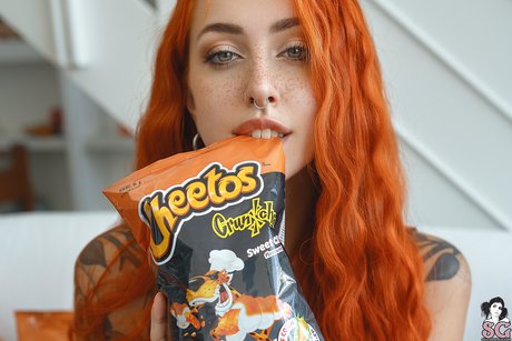 Violetlatte
