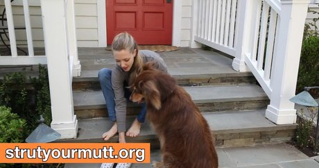 Foto di nudo di fuga di OnlyFans di Amanda Seyfried