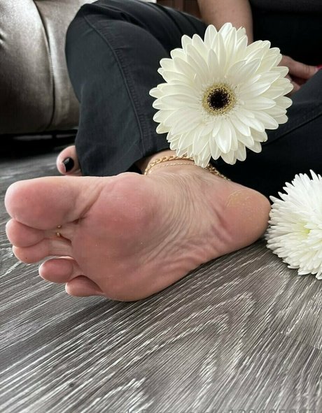 Foto di nudo di fuga di OnlyFans di Footmistressmissb