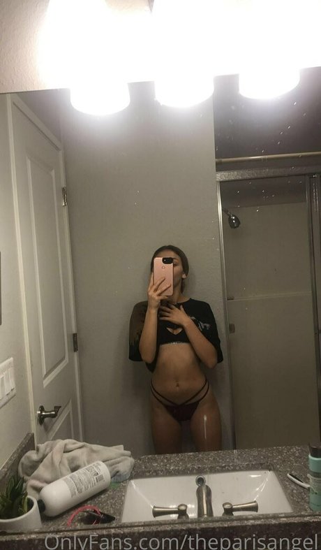 Theparisangel
