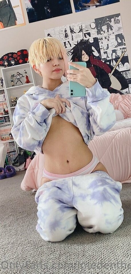 Imedenthefairy