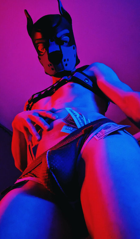 Badboxerboy